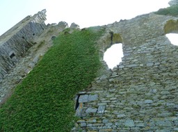 P1040195