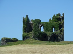 P1040202