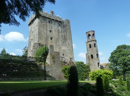 P1040224