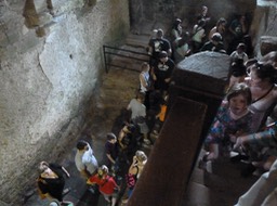 P1040231