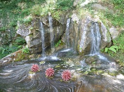 P1040246