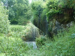 P1040247