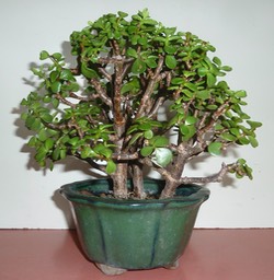 P1040281