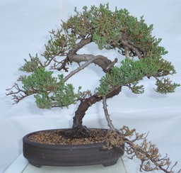 P1040538