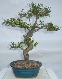 P1040543