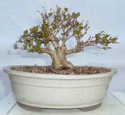 P1040548