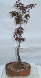 P1040550