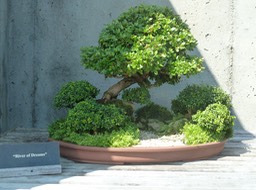 P1040705