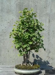 P1040707