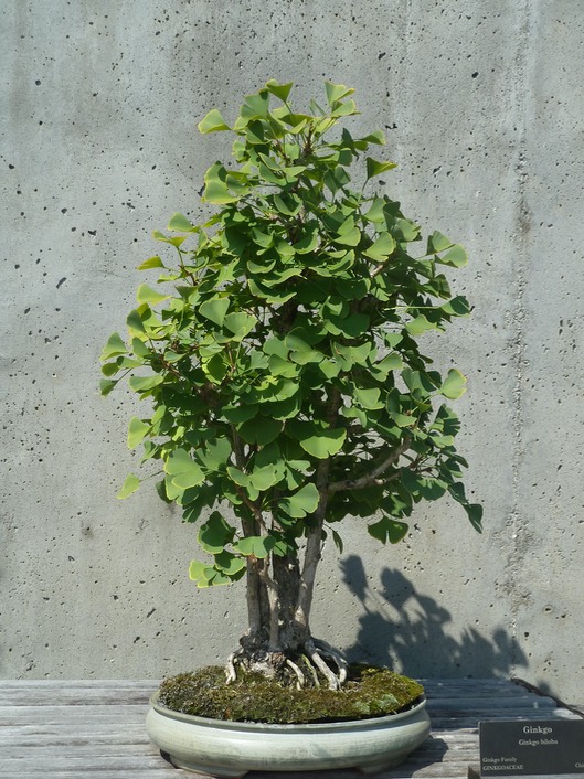 P1040707