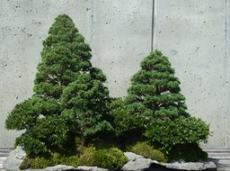 P1040708