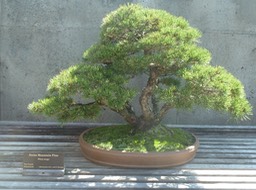 P1040710