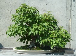 P1040712