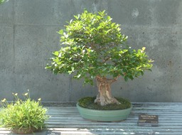 P1040713