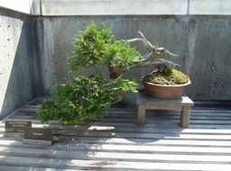 P1040715