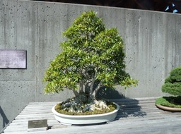 P1040716