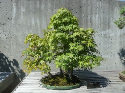 P1040718
