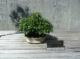P1040719