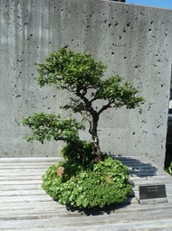 P1040720
