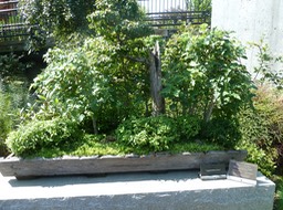P1040721