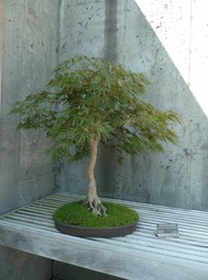 P1040722
