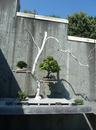 P1040723