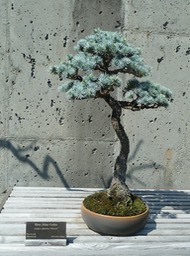 P1040724