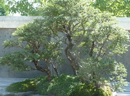 P1040725