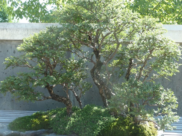 P1040725