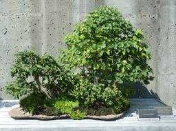 P1040726