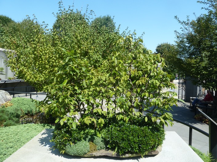 P1040729