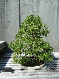 P1040733