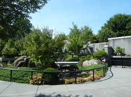 P1040736