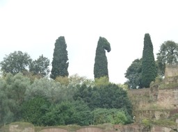 P1040947