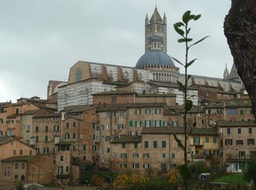 P1050165