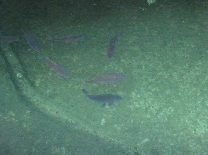 P1050170