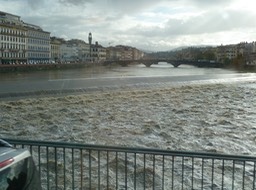 P1050217