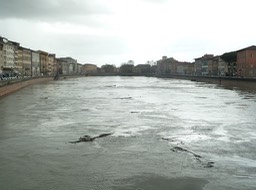 P1050238