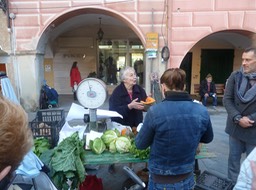 P1050263