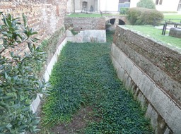 P1050378