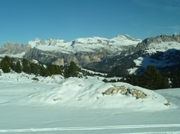 P1050533