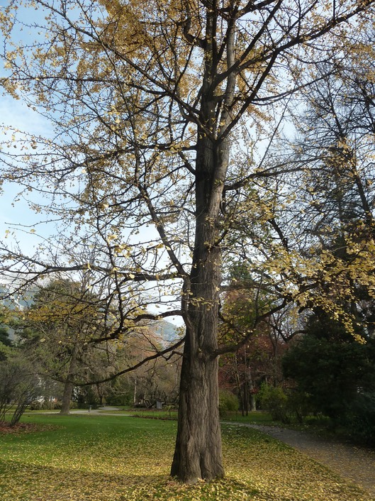 P1050579