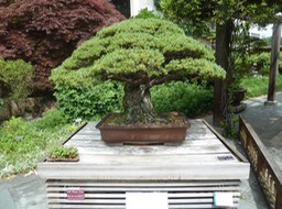 P1050973