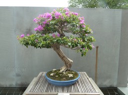 P1050975