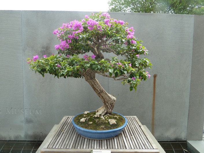 P1050975