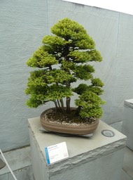 P1050976