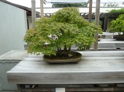 P1050977