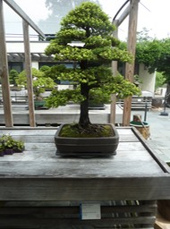 P1050980
