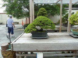 P1050981