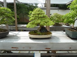 P1050984